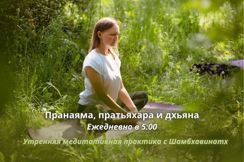 Онлайн-занятия с Шамбхавинатх